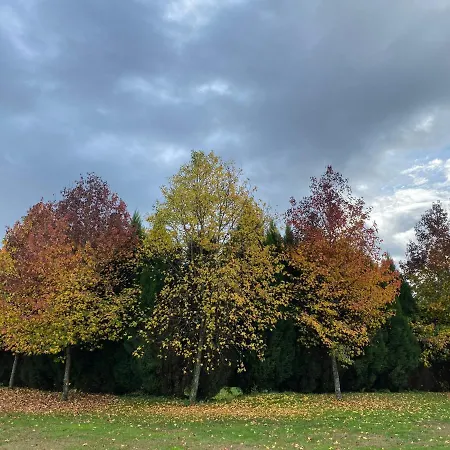 Hotel De Charme Quinta Do Pinheiro Freamunde