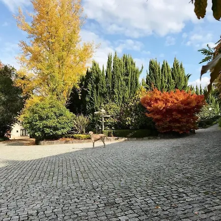 De Charme Quinta Do Pinheiro 4* Freamunde