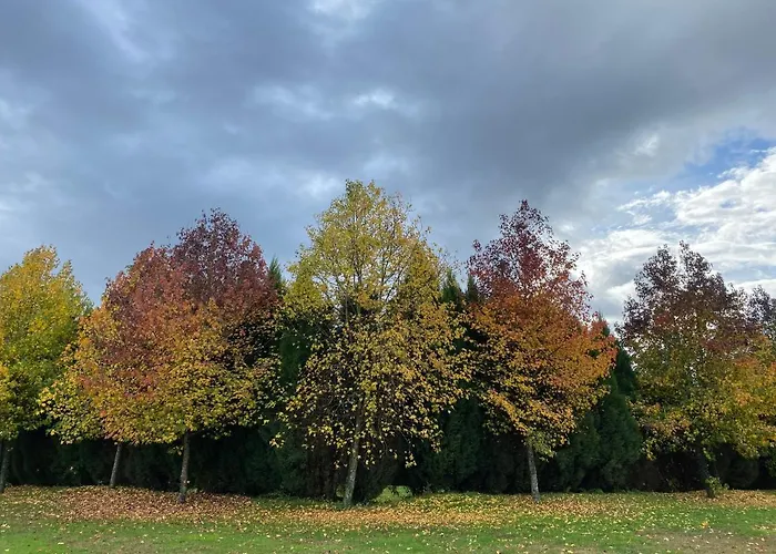 Hotel De Charme Quinta Do Pinheiro Freamunde