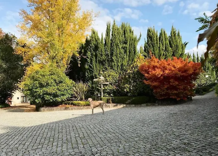 De Charme Quinta Do Pinheiro 4* Freamunde