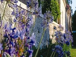 De Charme Quinta Do Pinheiro Hotel